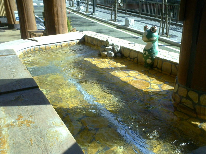 A frog ponders a soak in the ashiyu (foot onsen).