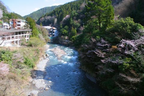 Wakayama, Japan, in cherry blossom season